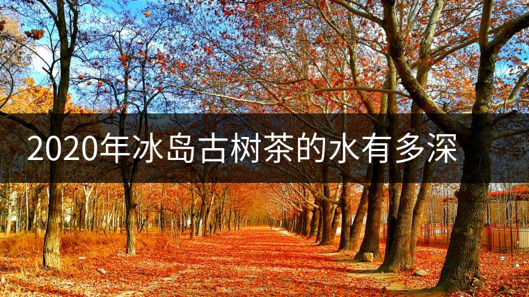 2020年冰島古樹茶的水有多深？別被蒙在鼓里啦-易武中聘號