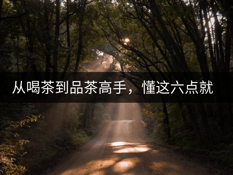 從喝茶到品茶高手,懂這六點就夠了 從喝茶到品茶高手,懂這六點就夠了
