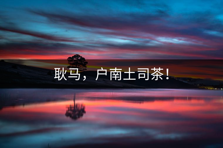 耿馬，戶(hù)南土司茶！
