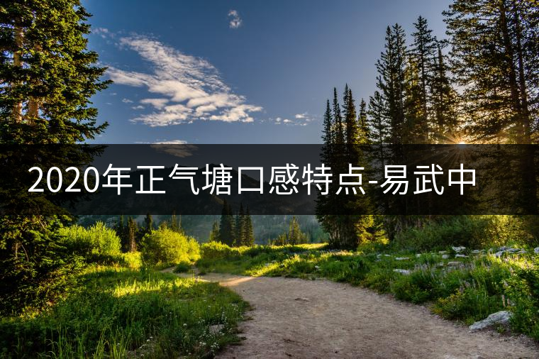 2020年正氣塘口感特點(diǎn)-易武中聘號 2020年正氣塘口感特點(diǎn)-易武中聘號
