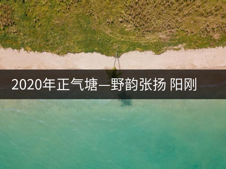 2020年正氣塘—野韻張揚(yáng) 陽(yáng)剛豪邁-易武中聘號(hào) 2020年正氣塘—野韻張揚(yáng) 陽(yáng)剛豪邁-易武中聘號(hào)