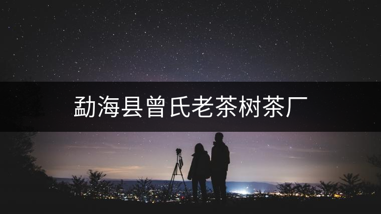 勐海縣曾氏老茶樹茶廠 勐海縣曾氏老茶樹茶廠