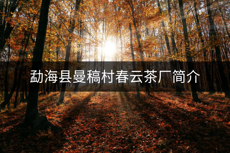 勐海縣曼稿村春云茶廠簡介 勐??h曼稿村春云茶廠簡介