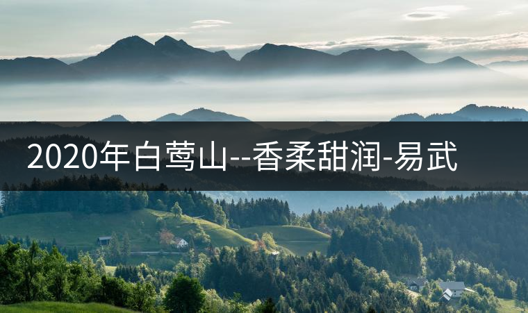2020年白鶯山--香柔甜潤-易武中聘號(hào) 2020年白鶯山--香柔甜潤-易武中聘號(hào)