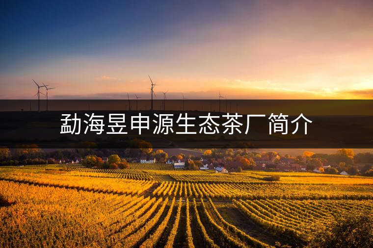 勐海昱申源生態(tài)茶廠簡介 勐海昱申源生態(tài)茶廠簡介