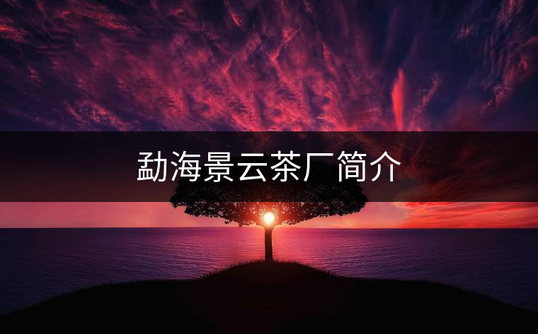 勐海景云茶廠(chǎng)簡(jiǎn)介