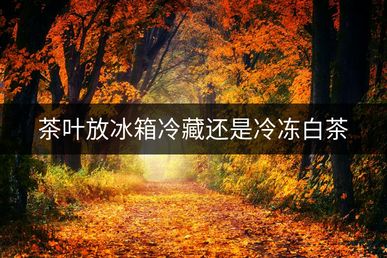 茶葉放冰箱冷藏還是冷凍白茶 茶葉放冰箱冷藏還是冷凍白茶