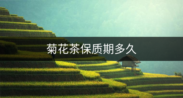 菊花茶保質(zhì)期多久 菊花茶保質(zhì)期多久