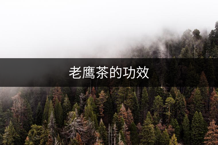老鷹茶的功效