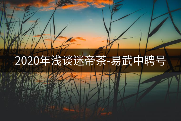 2020年淺談迷帝茶-易武中聘號