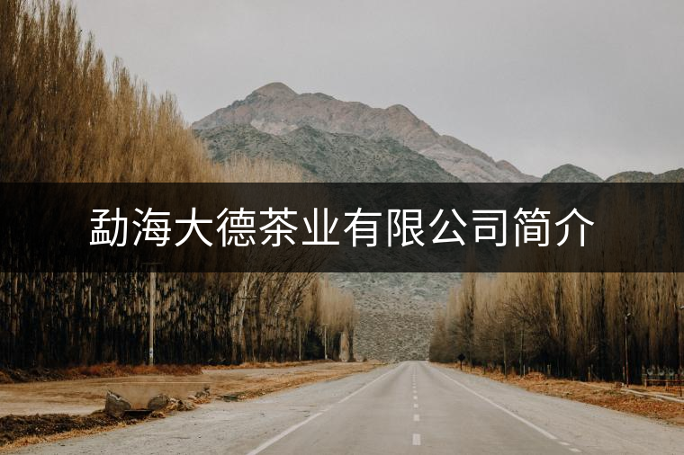勐海大德茶業(yè)有限公司簡介 勐海大德茶業(yè)有限公司簡介