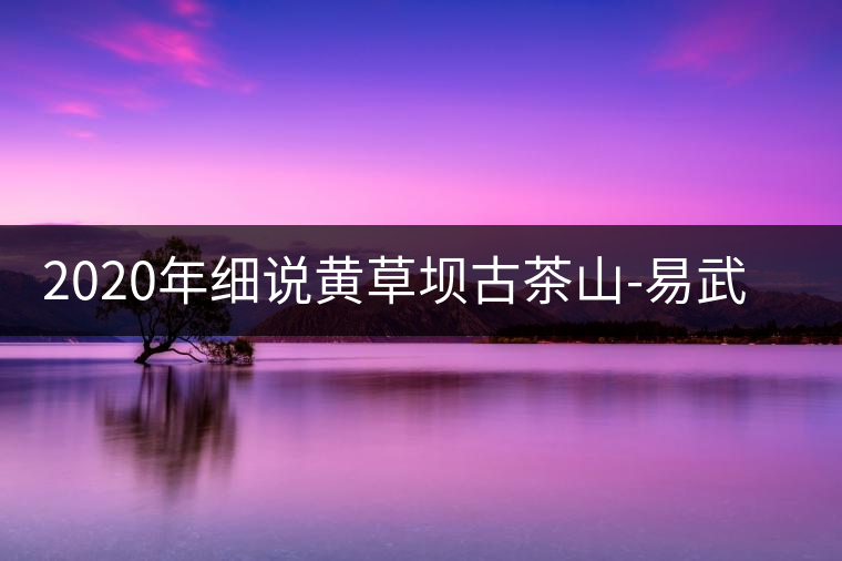 2020年細(xì)說黃草壩古茶山-易武中聘號(hào)