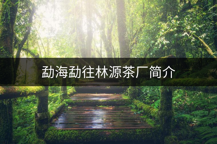 勐海勐往林源茶廠簡介 勐海勐往林源茶廠簡介