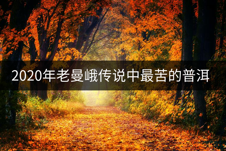 2020年老曼峨傳說中最苦的普洱茶-易武中聘號 2020年老曼峨傳說中最苦的普洱茶-易武中聘號