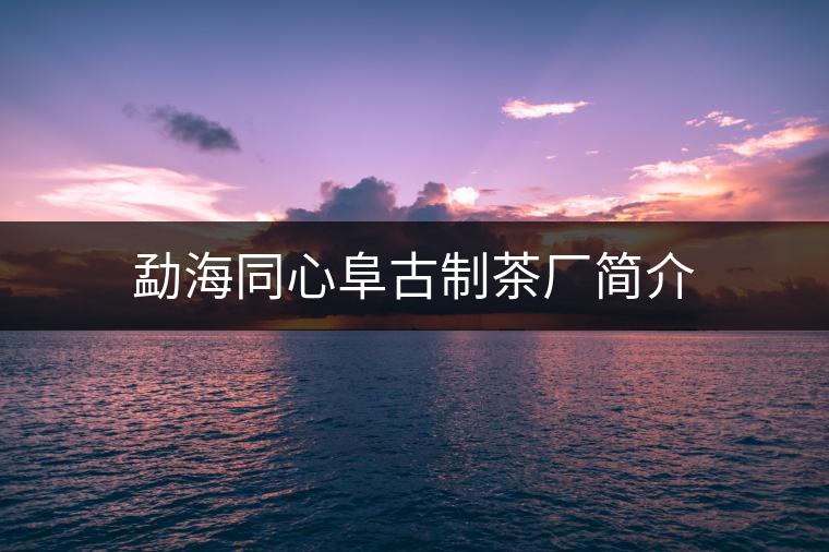 勐海同心阜古制茶廠簡介 勐海同心阜古制茶廠簡介
