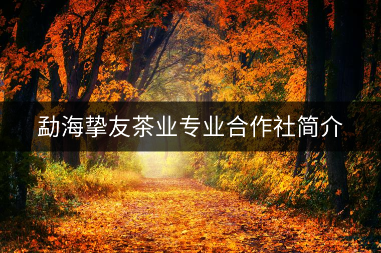 勐海摯友茶業(yè)專業(yè)合作社簡介 勐海摯友茶業(yè)專業(yè)合作社簡介