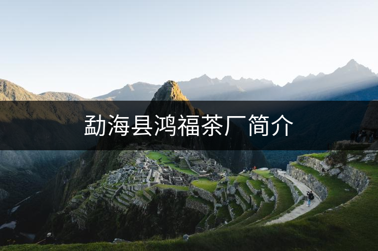 勐?？h鴻福茶廠簡介