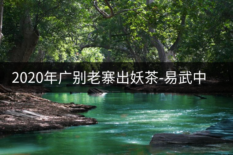 2020年廣別老寨出妖茶-易武中聘號(hào) 2020年廣別老寨出妖茶-易武中聘號(hào)