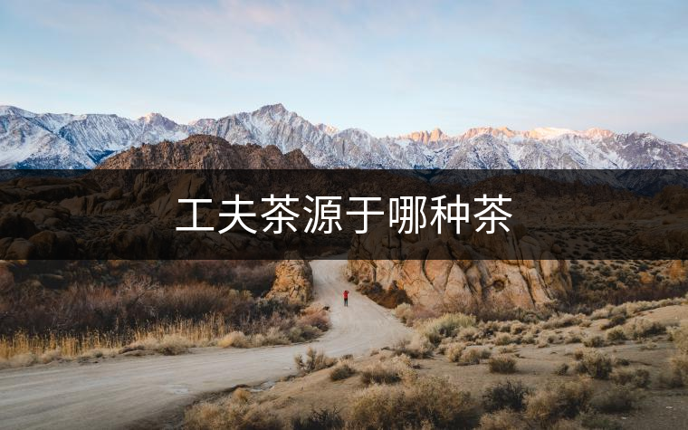 工夫茶源于哪種茶 工夫茶源于哪種茶