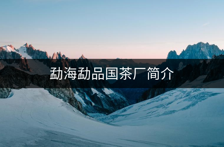 勐海勐品國茶廠簡介 勐海勐品國茶廠簡介