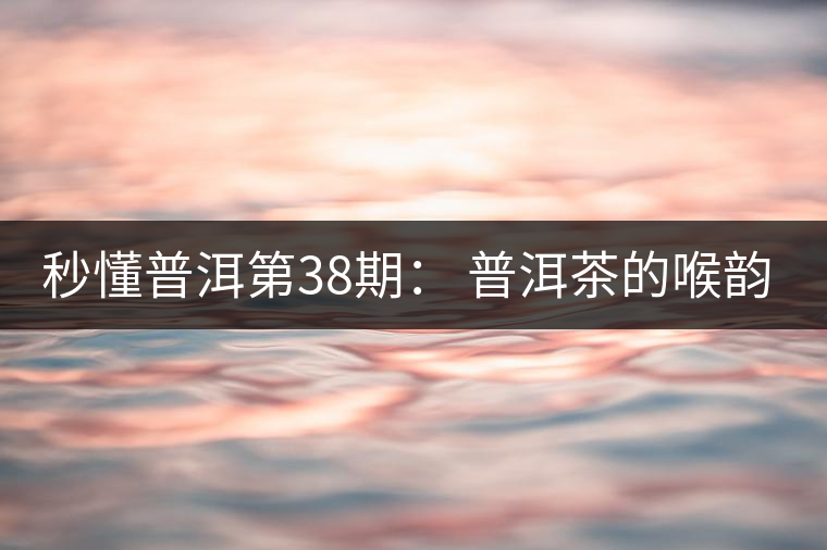 秒懂普洱第38期： 普洱茶的喉韻是什么？