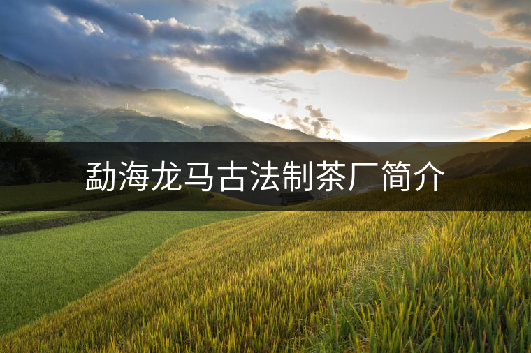 勐海龍馬古法制茶廠(chǎng)簡(jiǎn)介