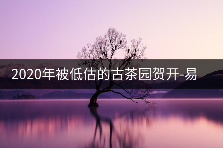 2020年被低估的古茶園賀開(kāi)-易武中聘號(hào) 2020年被低估的古茶園賀開(kāi)-易武中聘號(hào)