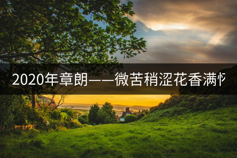 2020年章朗——微苦稍澀花香滿(mǎn)懷 -易武中聘號(hào)