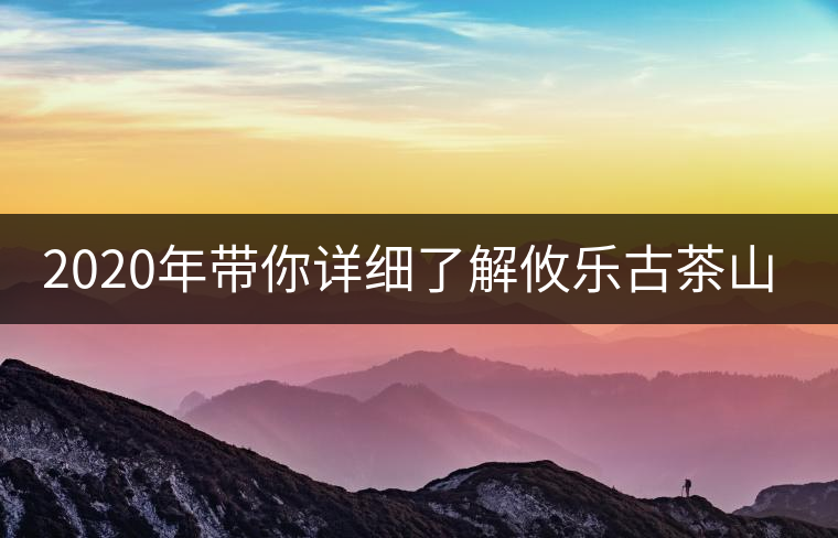 2020年帶你詳細(xì)了解攸樂古茶山-易武中聘號 2020年帶你詳細(xì)了解攸樂古茶山-易武中聘號