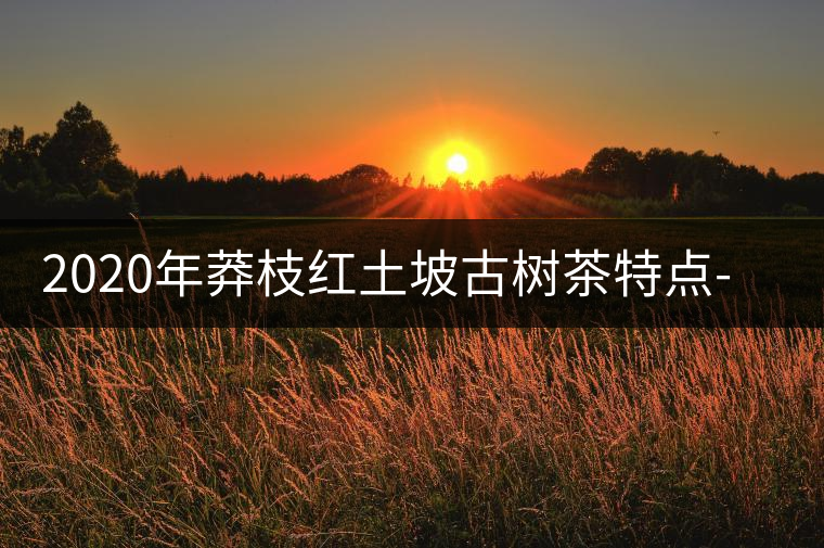 2020年莽枝紅土坡古樹茶特點(diǎn)-易武中聘號(hào) 2020年莽枝紅土坡古樹茶特點(diǎn)-易武中聘號(hào)