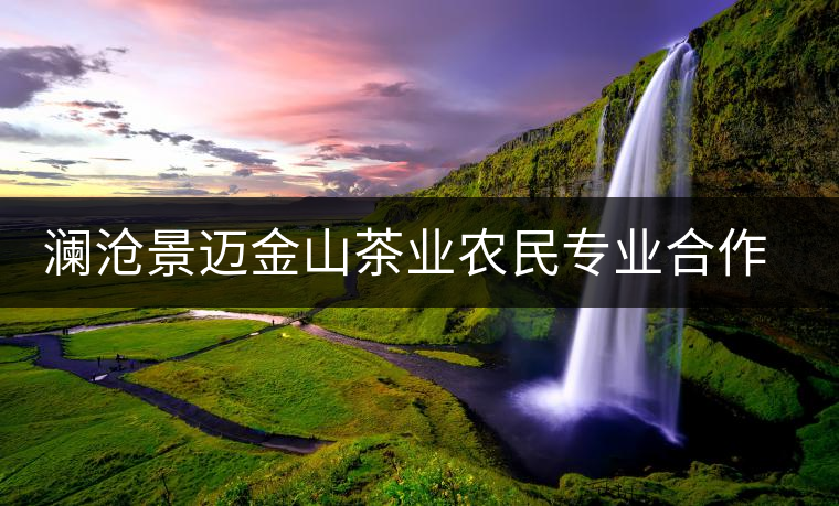瀾滄景邁金山茶業(yè)農(nóng)民專業(yè)合作社簡介 瀾滄景邁金山茶業(yè)農(nóng)民專業(yè)合作社簡介