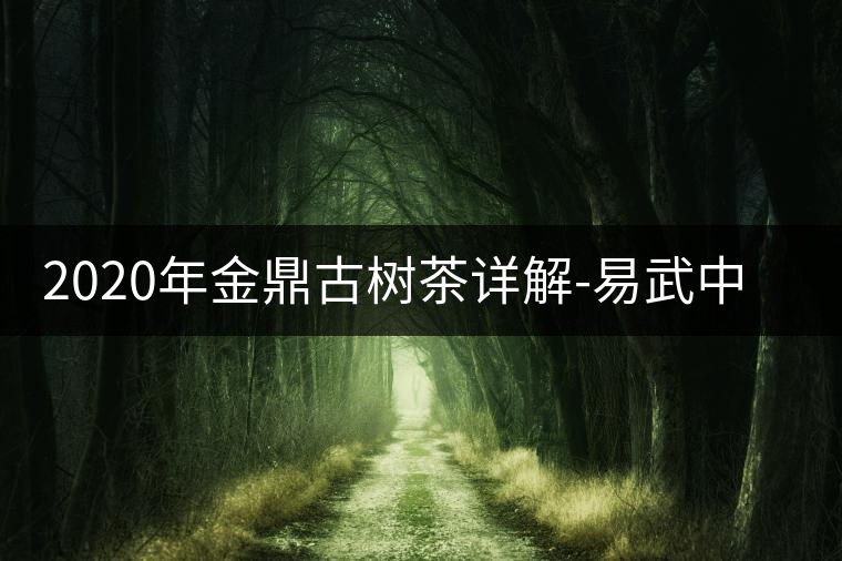 2020年金鼎古樹茶詳解-易武中聘號(hào) 2020年金鼎古樹茶詳解-易武中聘號(hào)