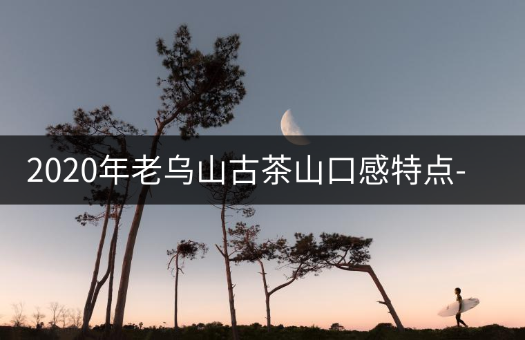 2020年老烏山古茶山口感特點(diǎn)-易武中聘號 2020年老烏山古茶山口感特點(diǎn)-易武中聘號