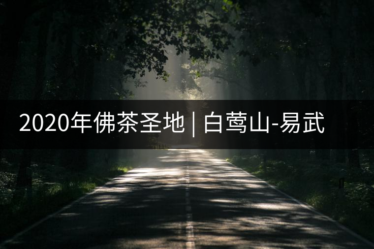 2020年佛茶圣地 | 白鶯山-易武中聘號(hào) 2020年佛茶圣地 | 白鶯山-易武中聘號(hào)