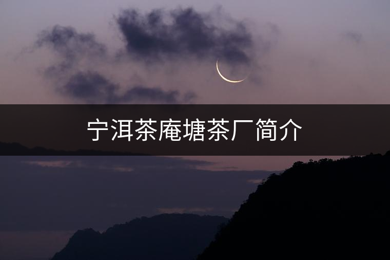 寧洱茶庵塘茶廠簡介