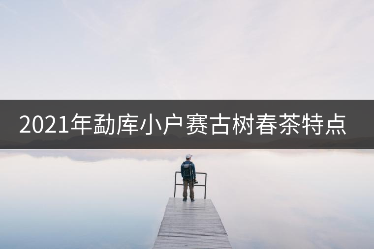 2021年勐庫(kù)小戶賽古樹春茶特點(diǎn)？