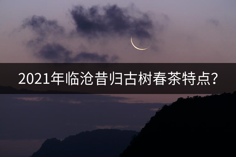 2021年臨滄昔歸古樹春茶特點(diǎn)? 2021年臨滄昔歸古樹春茶特點(diǎn)?
