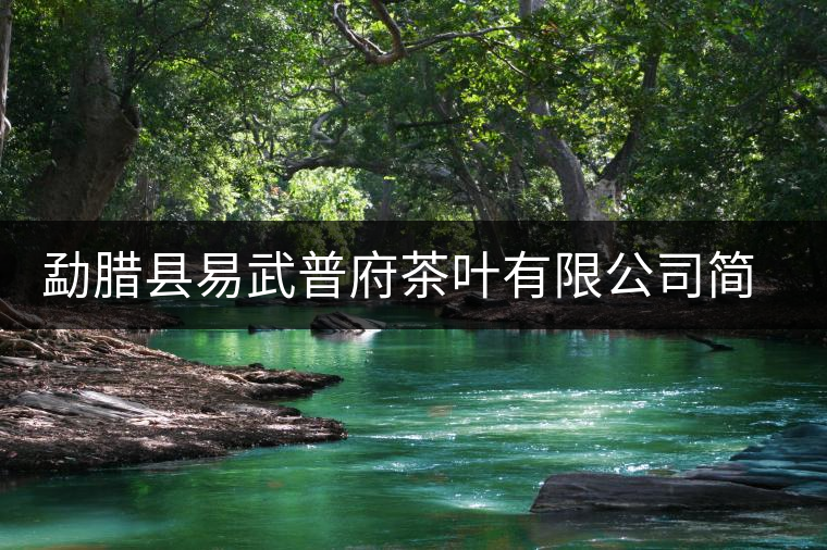 勐臘縣易武普府茶葉有限公司簡(jiǎn)介