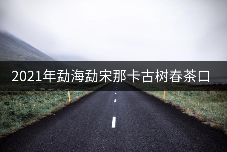 2021年勐海勐宋那卡古樹春茶口感？