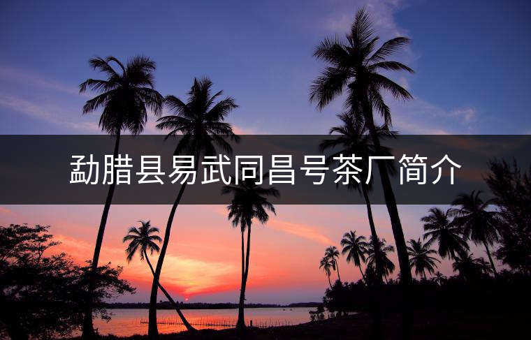 勐臘縣易武同昌號茶廠簡介 勐臘縣易武同昌號茶廠簡介