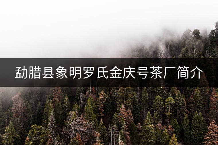 勐臘縣象明羅氏金慶號(hào)茶廠簡介