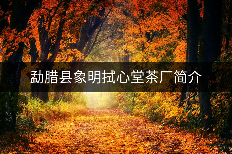 勐臘縣象明拭心堂茶廠簡介 勐臘縣象明拭心堂茶廠簡介