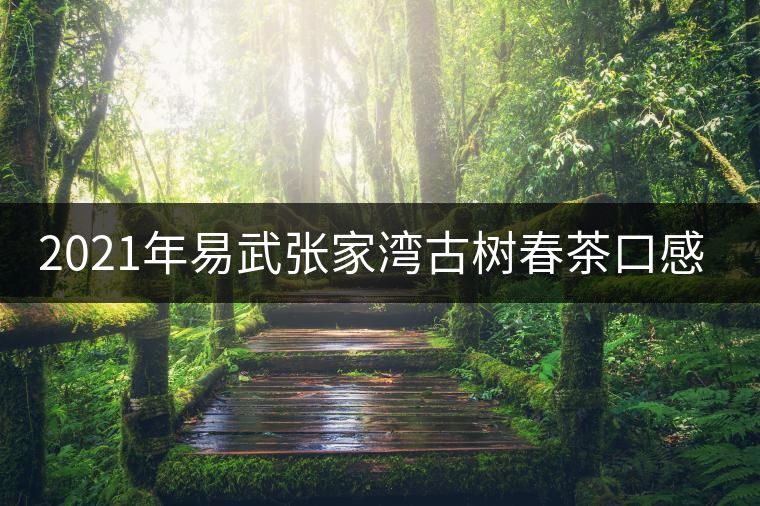 2021年易武張家灣古樹春茶口感特點(diǎn)介紹 2021年易武張家灣古樹春茶口感特點(diǎn)介紹
