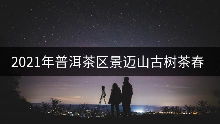 2021年普洱茶區(qū)景邁山古樹(shù)茶春茶多少錢(qián)一公斤？