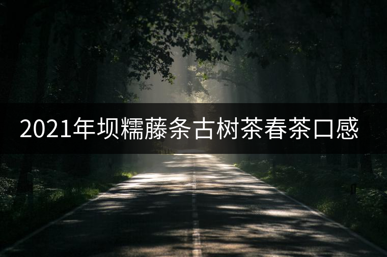 2021年壩糯藤條古樹(shù)茶春茶口感特點(diǎn) 2021年壩糯藤條古樹(shù)茶春茶口感特點(diǎn)