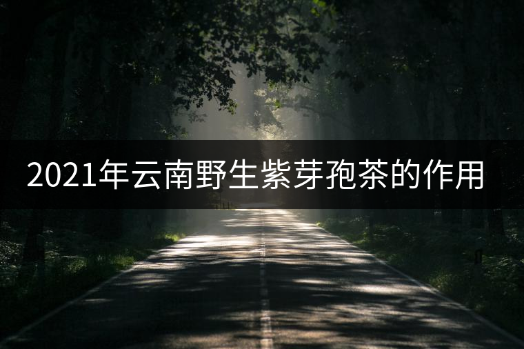 2021年云南野生紫芽孢茶的作用特點介紹 2021年云南野生紫芽孢茶的作用特點介紹