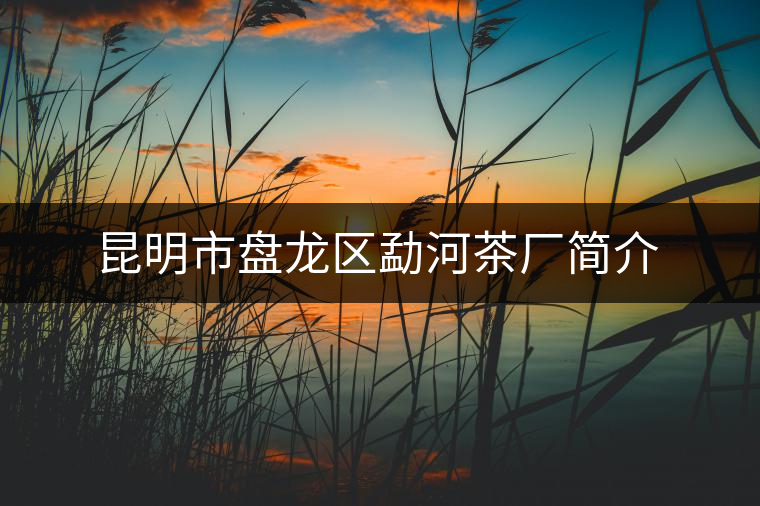 昆明市盤龍區(qū)勐河茶廠簡(jiǎn)介 昆明市盤龍區(qū)勐河茶廠簡(jiǎn)介