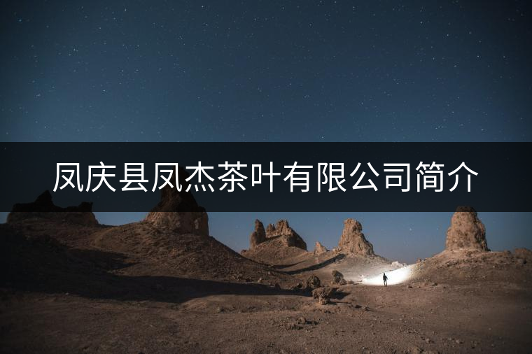 鳳慶縣鳳杰茶葉有限公司簡(jiǎn)介