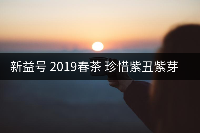 新益號 2019春茶 珍惜紫丑紫芽茶 是什么茶好喝嗎？
