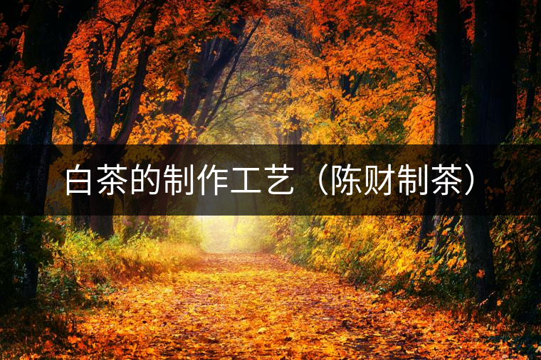 白茶的制作工藝(陳財(cái)制茶) 白茶的制作工藝(陳財(cái)制茶)